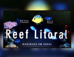 Reef-Litoral